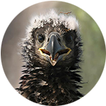 Individuelle Beratatung - So können Sie uns kontaktieren